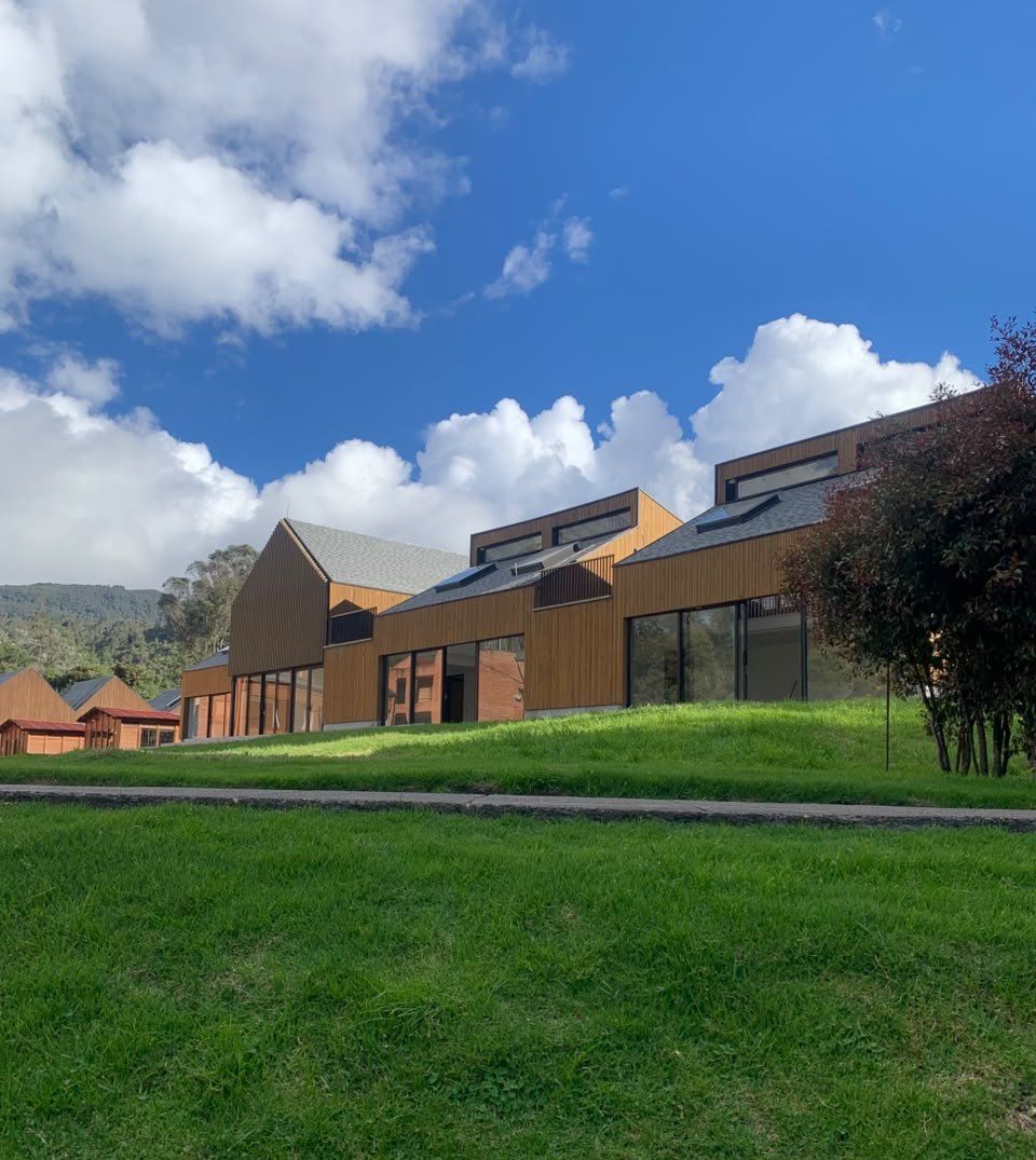Volúmenes de ladrillo y madera del colegio sobre el prado